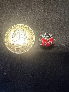 Red Ladybug bracelet Charm Accessory